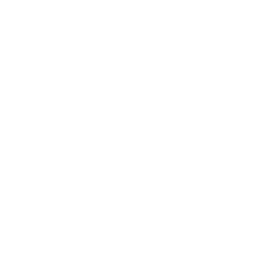 131 logo