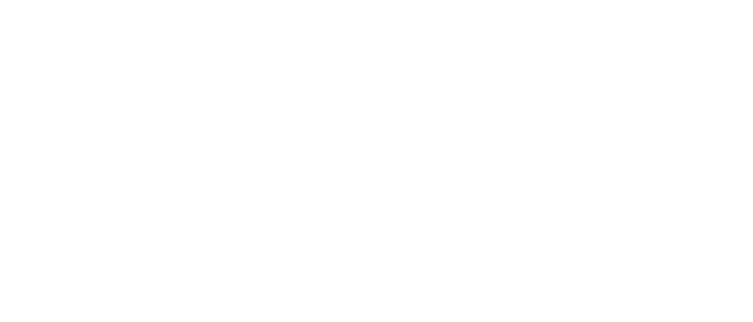 131 logo