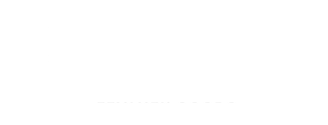 Concepto logo