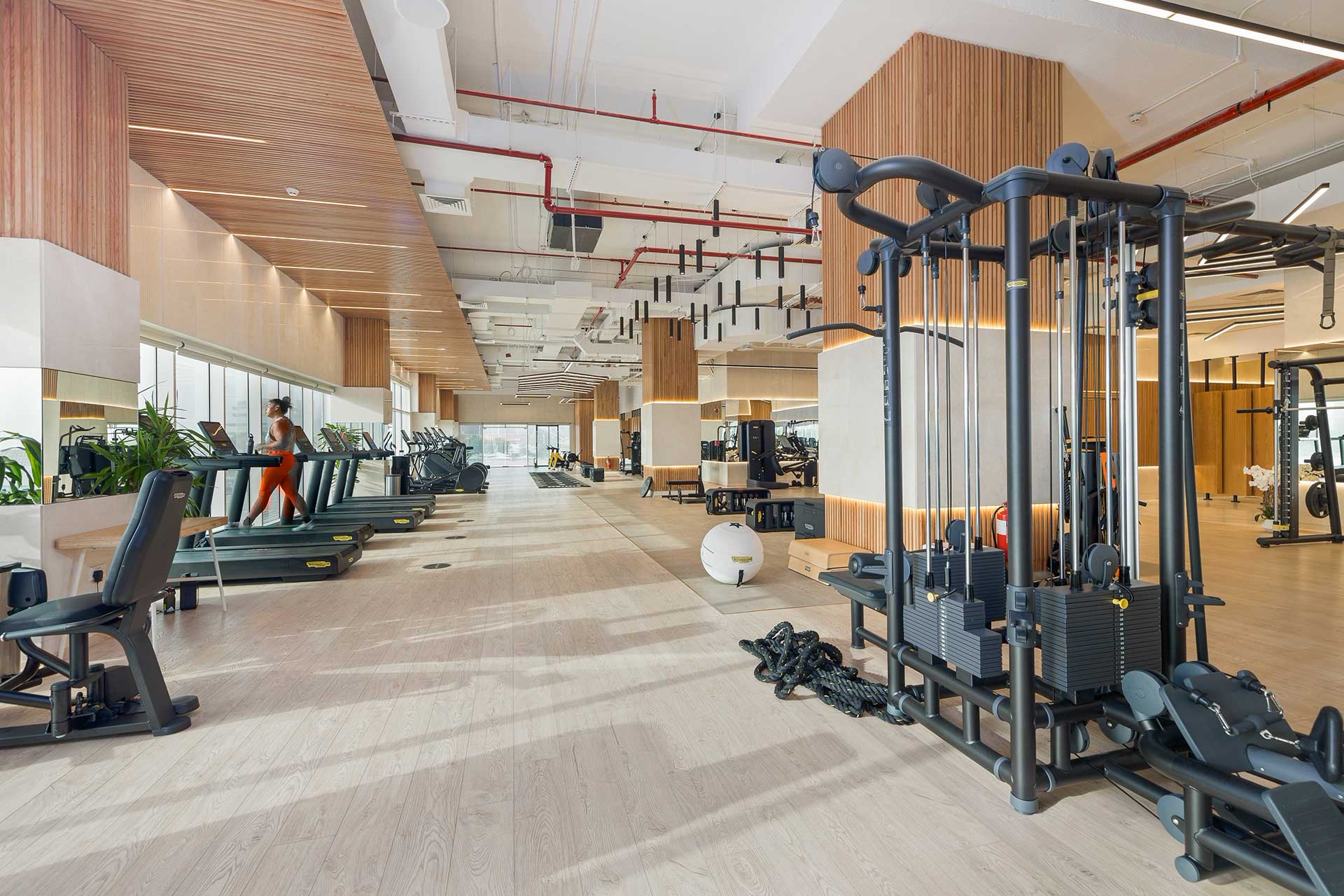 Edge Fitness (men)
