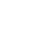 Face Flex logo