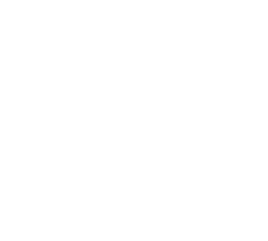 Flour n Floret logo