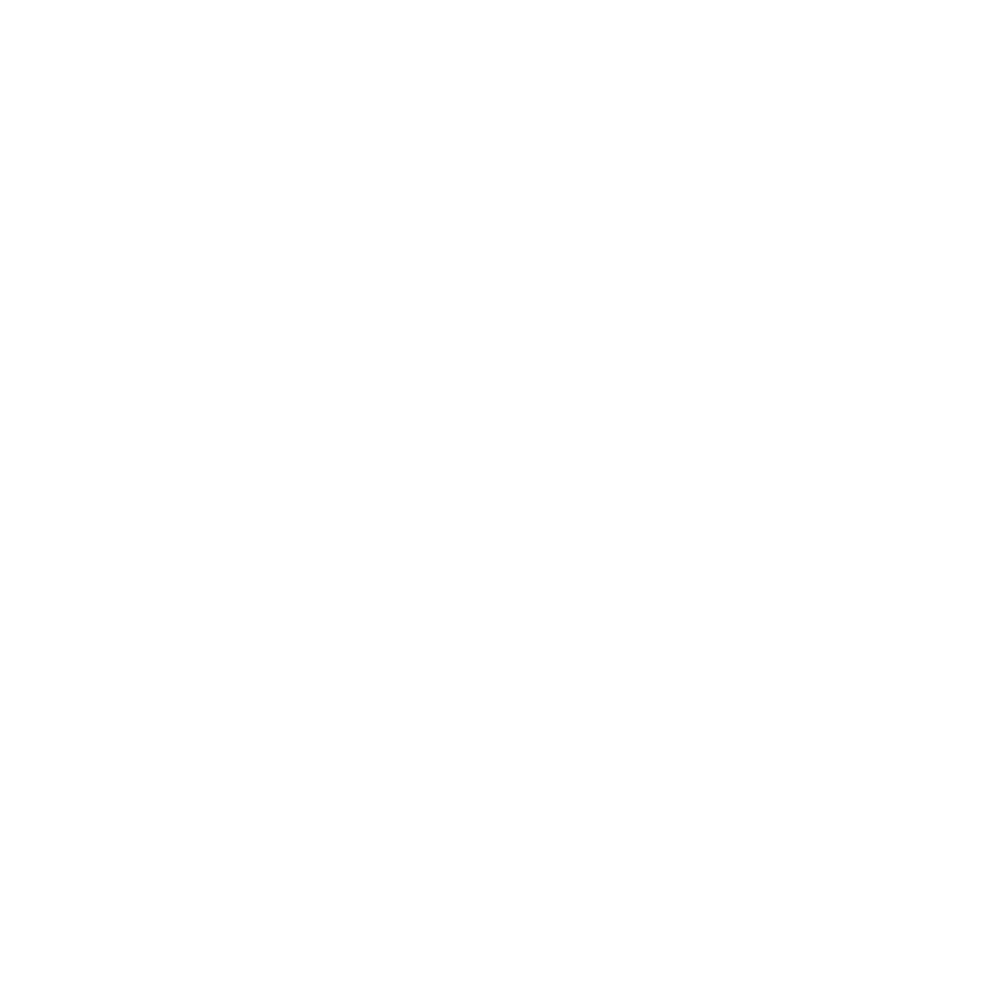 LS logo