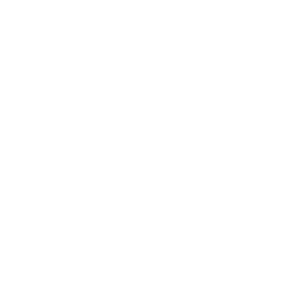 LS logo
