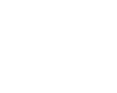 The cat vet logo